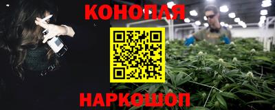 прущие грибы Малгобек