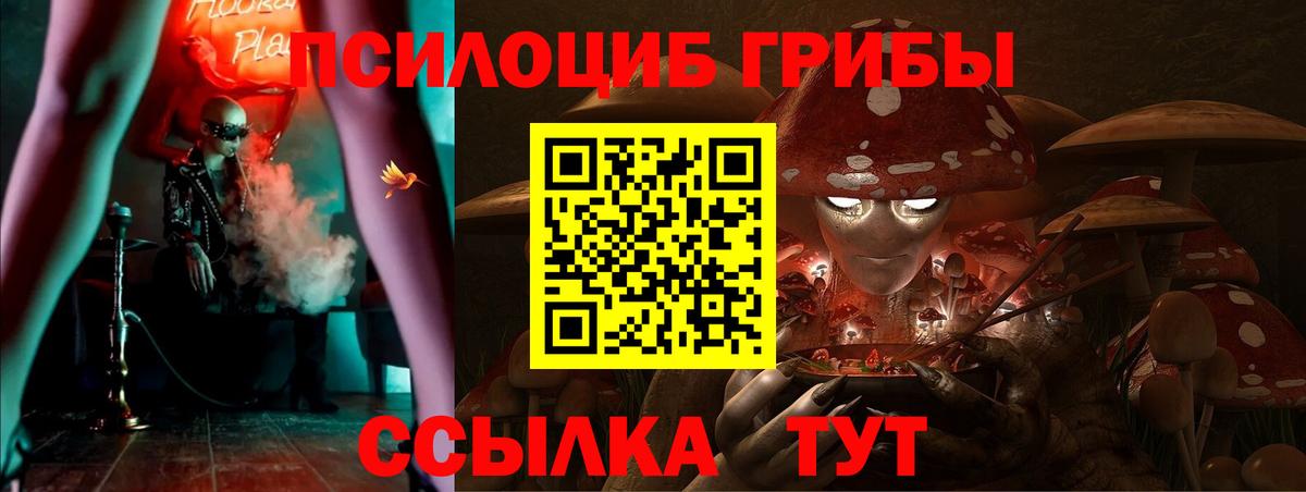 Галлюциногенные грибы прущие грибы Каменск-Шахтинский